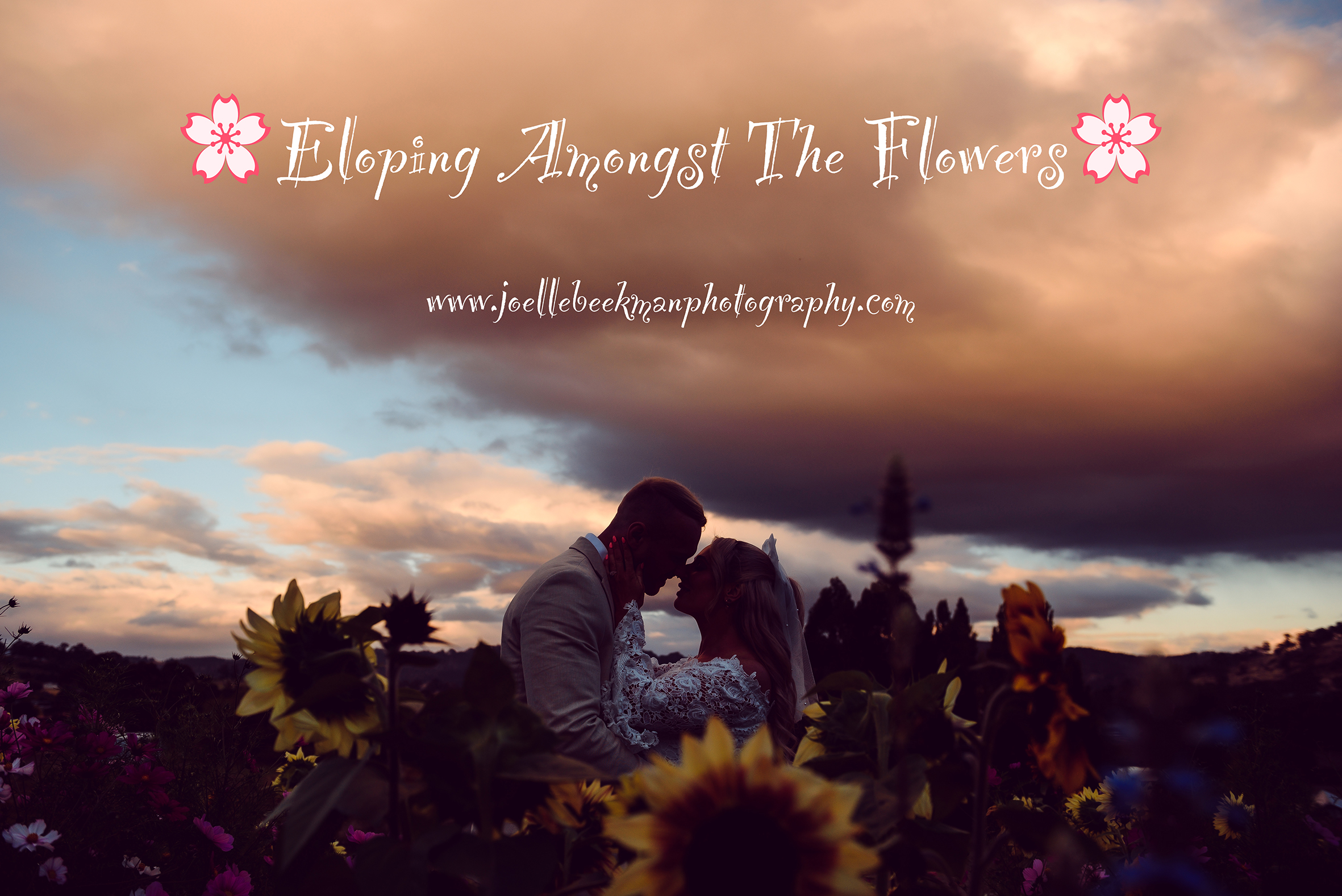 Eloping Amongst The Flowers